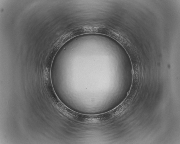 X0000078830649200611271258