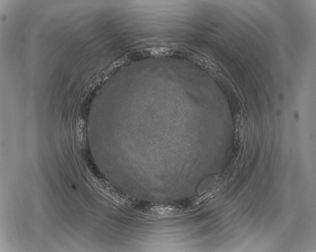 X0000078830650200611271258