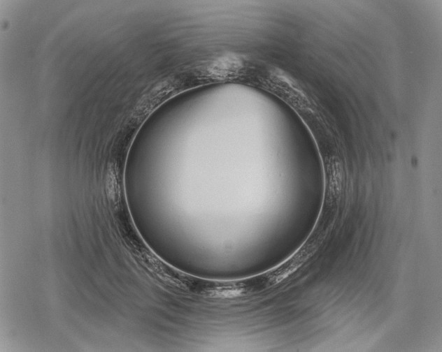 X0000078830651200611271258