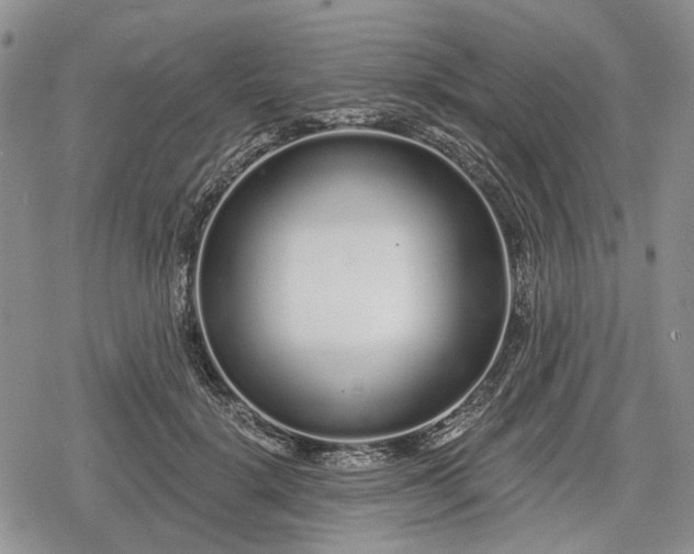 X0000078830652200611271258