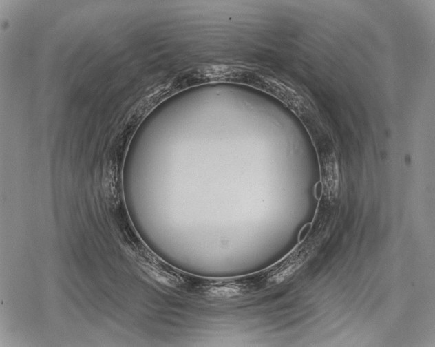 X0000078830653200611271258