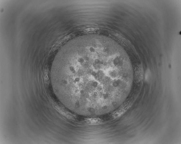 X0000078830654200611271258