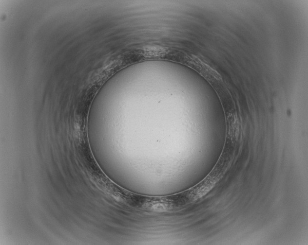 X0000078830655200611271258