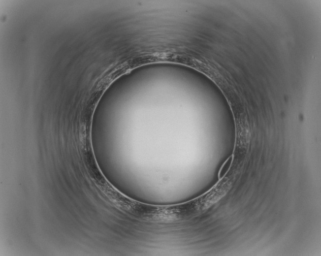 X0000078830656200611271258