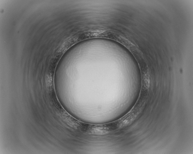 X0000078830657200611271258