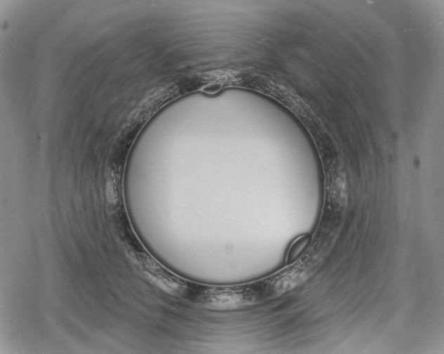 X0000078830658200611271258