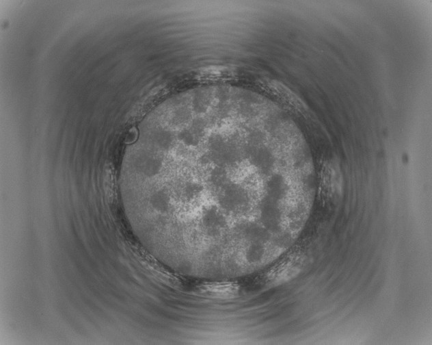 X0000078830659200611271258