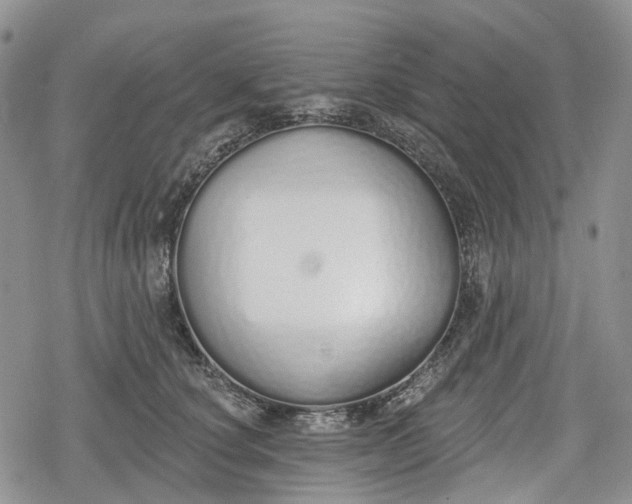 X0000078830660200611271258