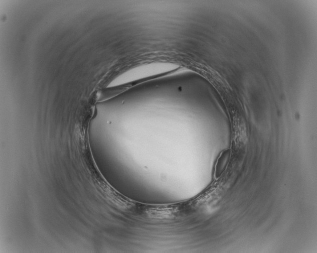 X0000078830661200611271258