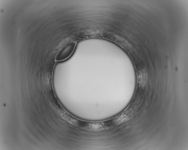 X0000078830662200611271258