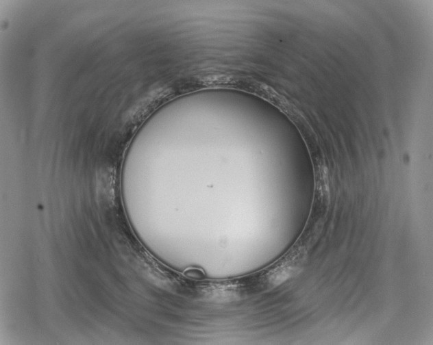 X0000078830664200611271258