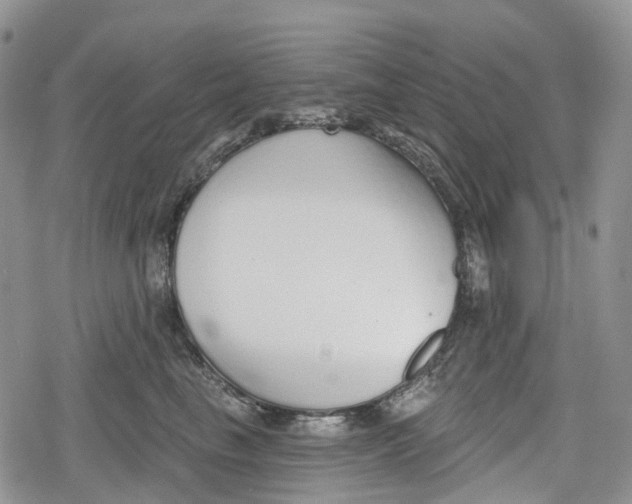 X0000078830665200611271258