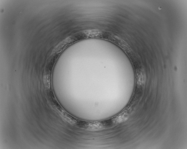 X0000078830666200611271258