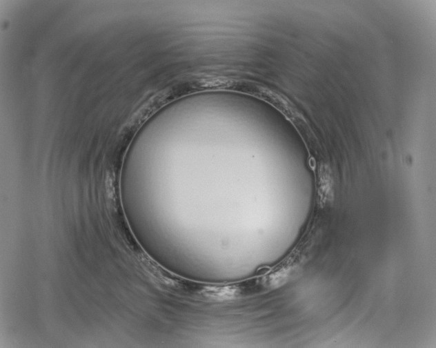 X0000078830667200611271258