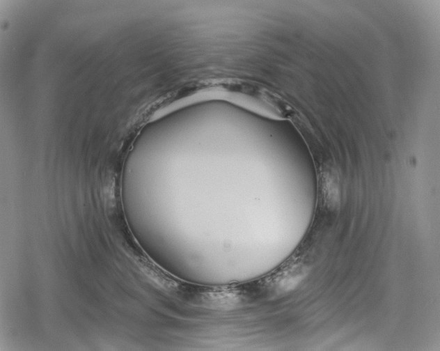 X0000078830668200611271258