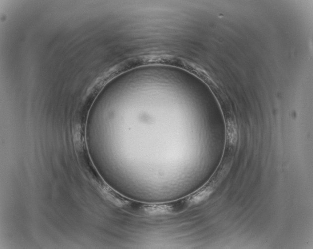 X0000078830670200611271258