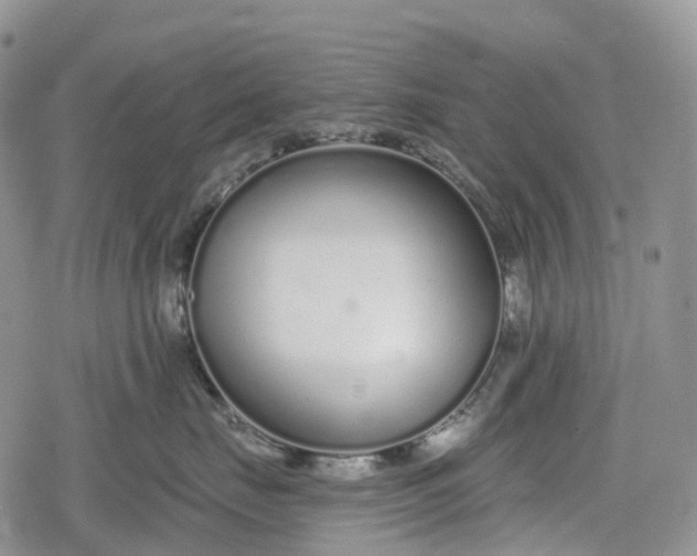 X0000078830671200611271258