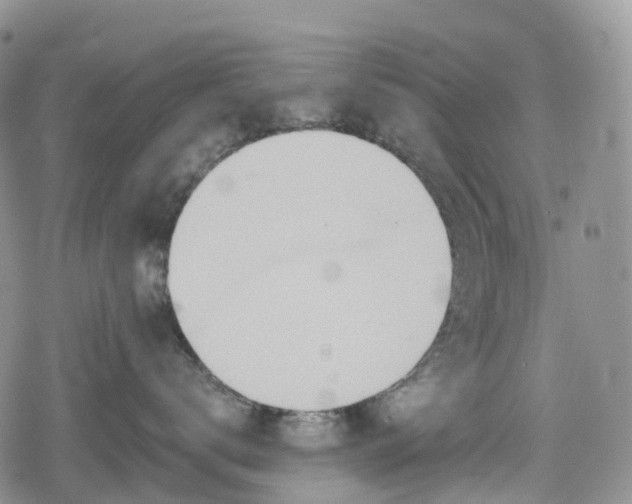 X0000078830672200611271258