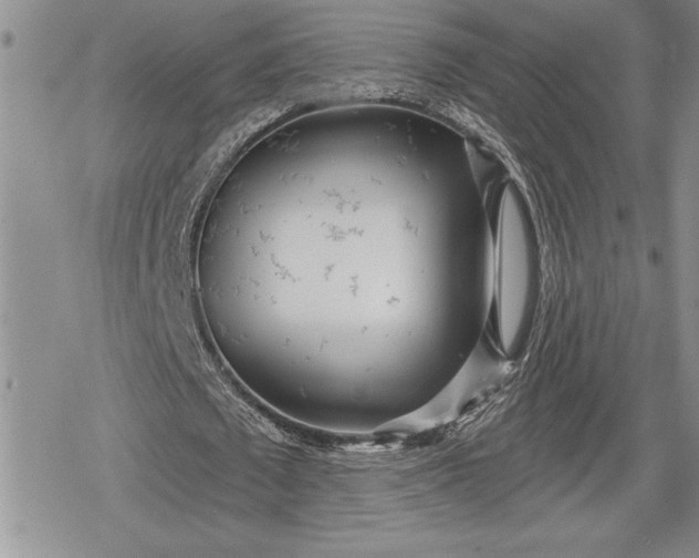 X0000078830673200611271258