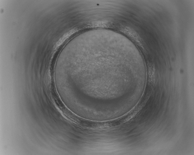 X0000078830674200611271258