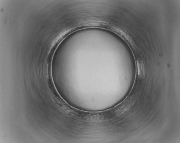 X0000078830675200611271257