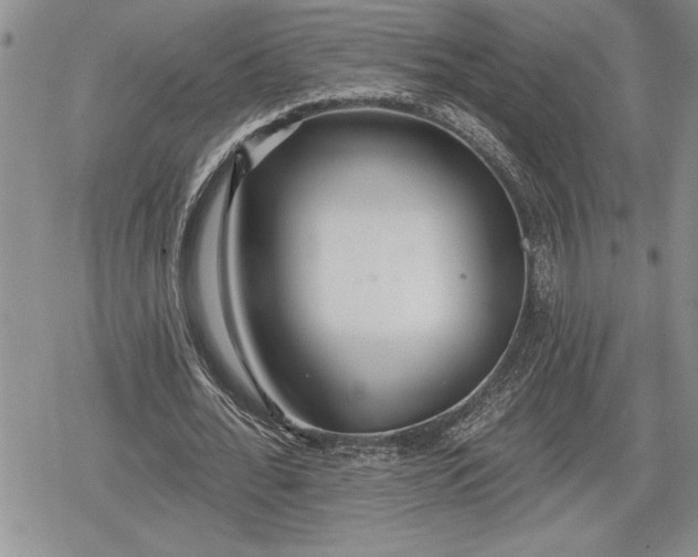 X0000078830676200611271257