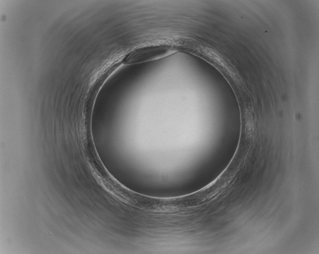 X0000078830677200611271257