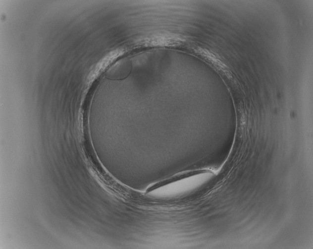 X0000078830678200611271257