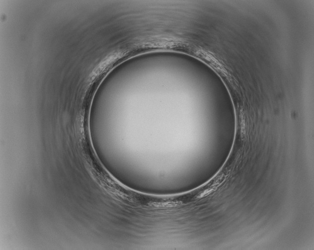 X0000078830679200611271257