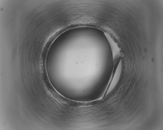 X0000078830680200611271257