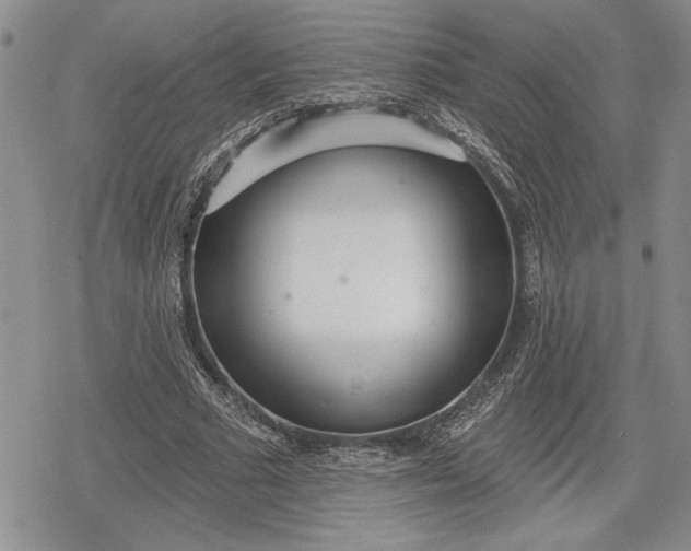 X0000078830681200611271257