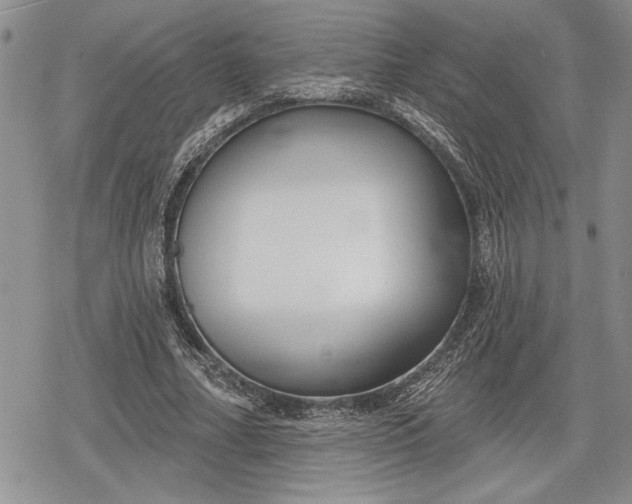 X0000078830682200611271257