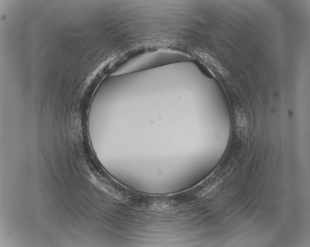 X0000078830684200611271257