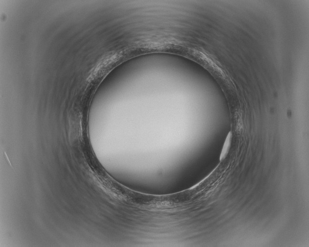 X0000078830685200611271257