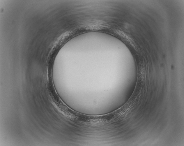 X0000078830686200611271257