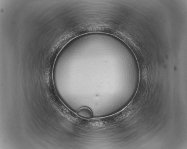 X0000078830687200611271257