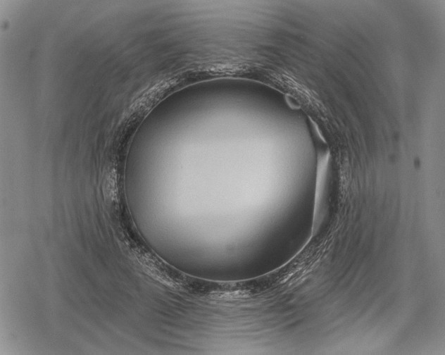 X0000078830689200611271257