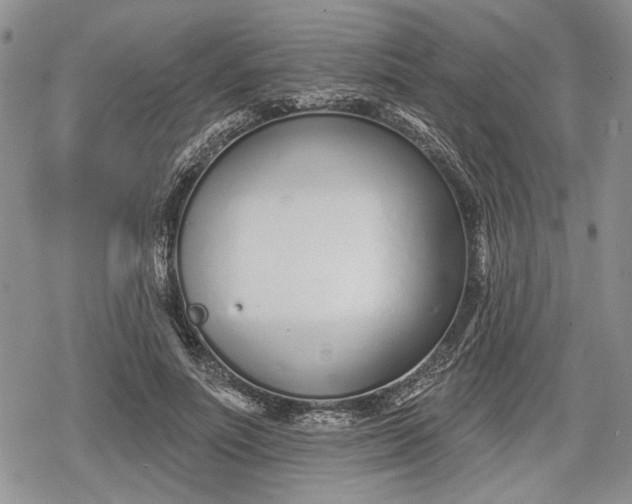 X0000078830691200611271257