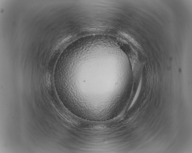 X0000078830692200611271257