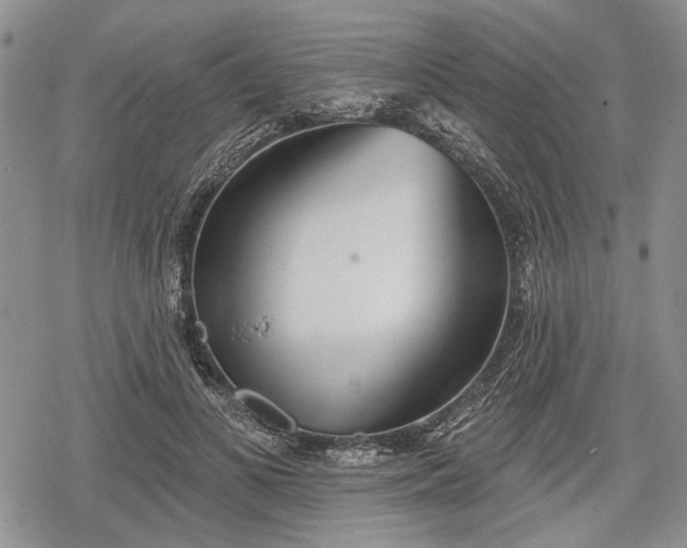 X0000078830693200611271257