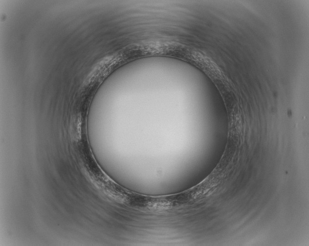 X0000078830694200611271257