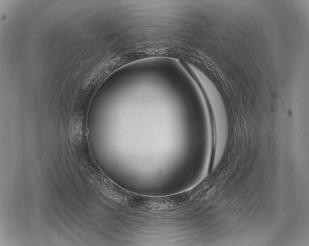 X0000078830697200611271257