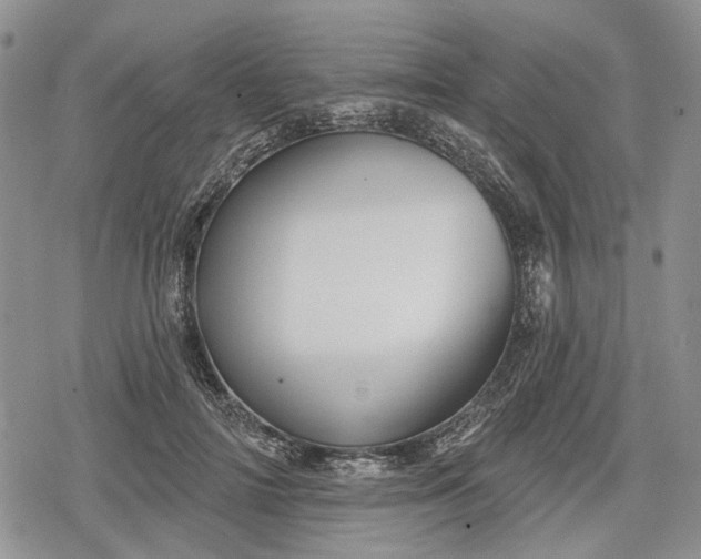 X0000078830698200611271257