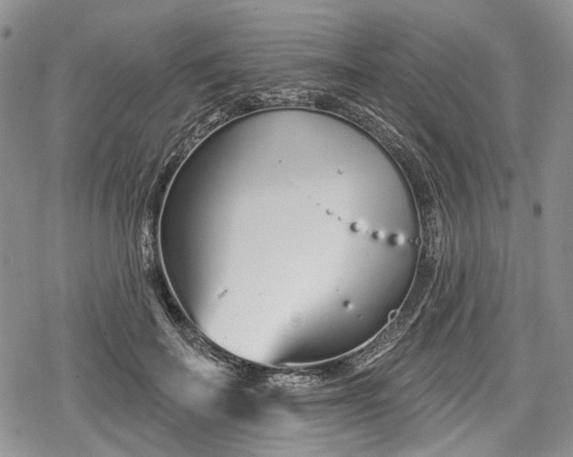 X0000078830699200611271257