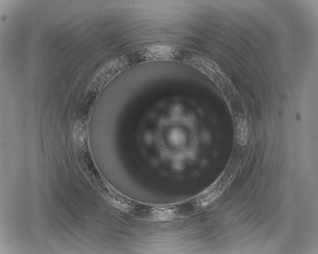 X0000078830701200611271257