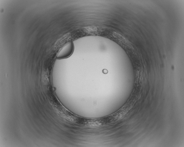 X0000078830702200611271257