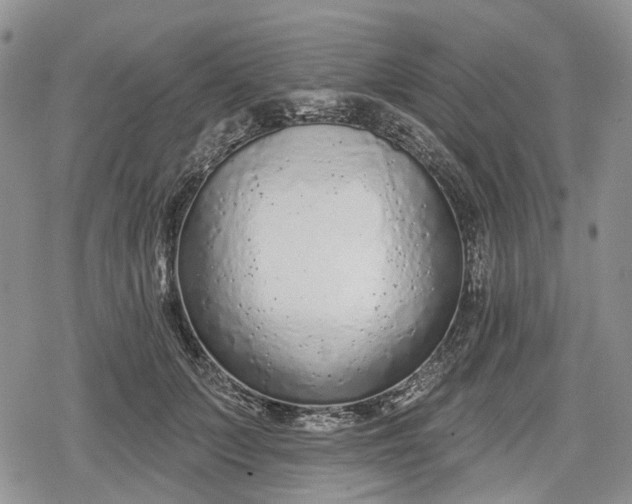 X0000078830703200611271257