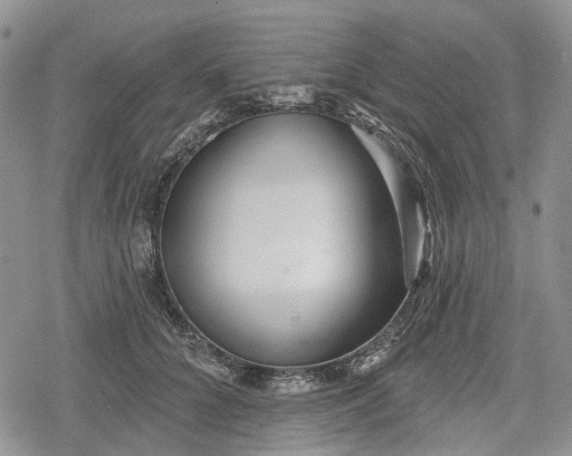 X0000078830704200611271257