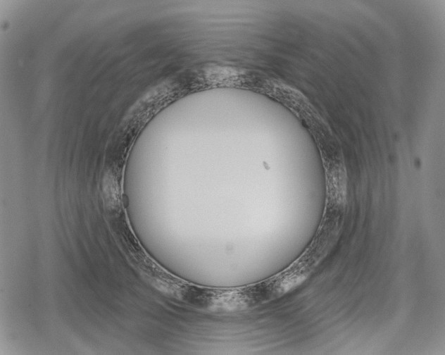 X0000078830705200611271257