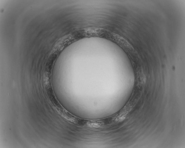 X0000078830706200611271257